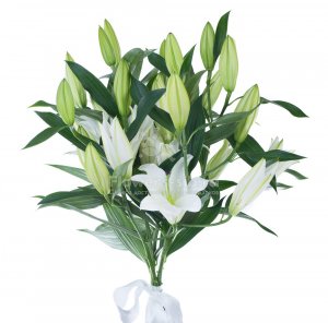Bouquet of 5 lilies